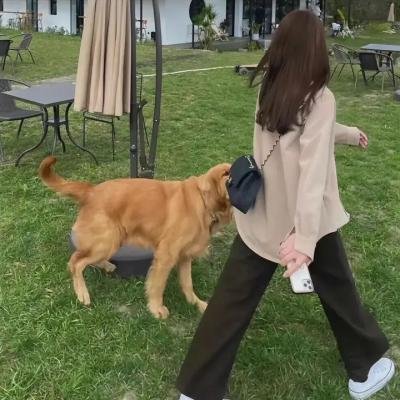 永不我弃